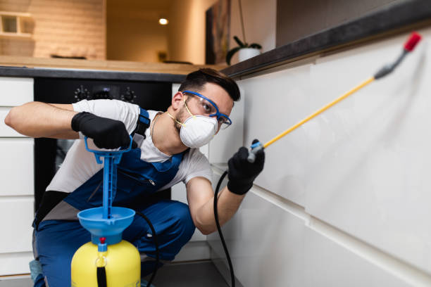Best Pest Control Near Me  in Americus, GA