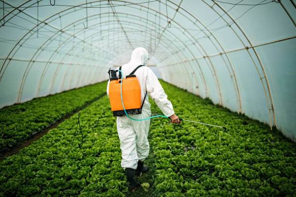 Best Commercial Pest Control Services  in Americus, GA
