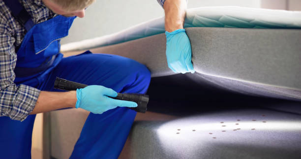 Reliable Americus, GA Pest Control Solutions
