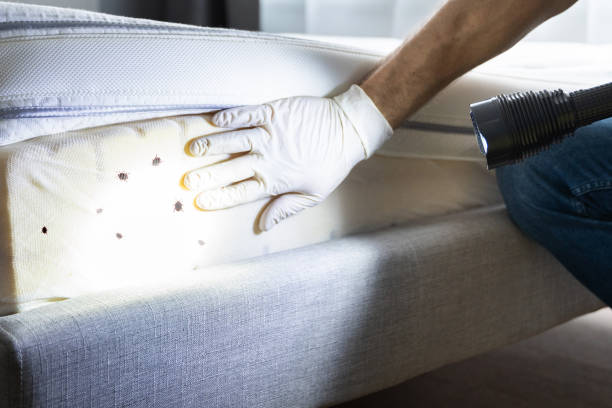 Best Best Pest Control Companies  in Americus, GA