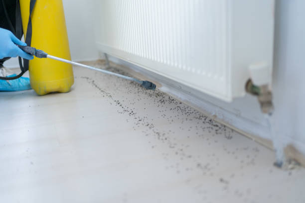 Best Pest Inspection Near Me  in Americus, GA