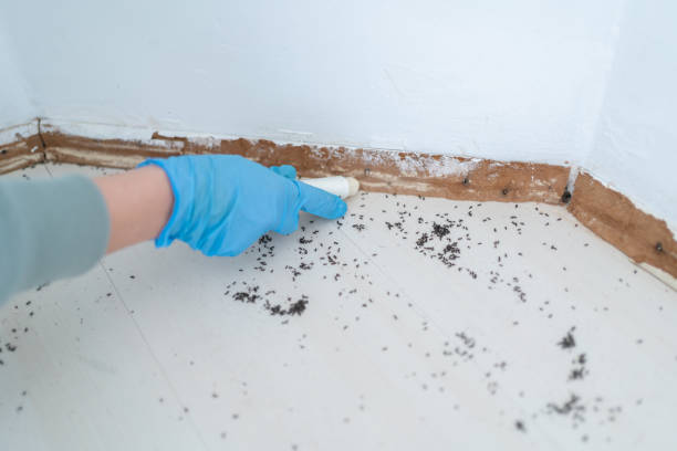 Best Termite Control Services  in Americus, GA