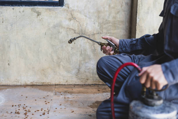 Best Mosquito Control Services  in Americus, GA